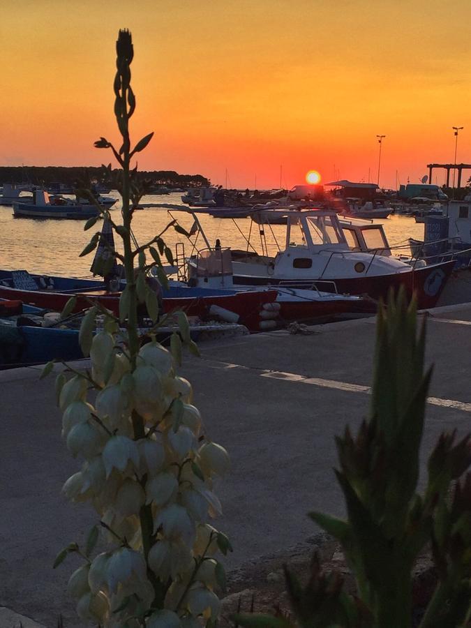 La Casa Di Ada E Gigi Vacanze Porto Cesareo Luaran gambar